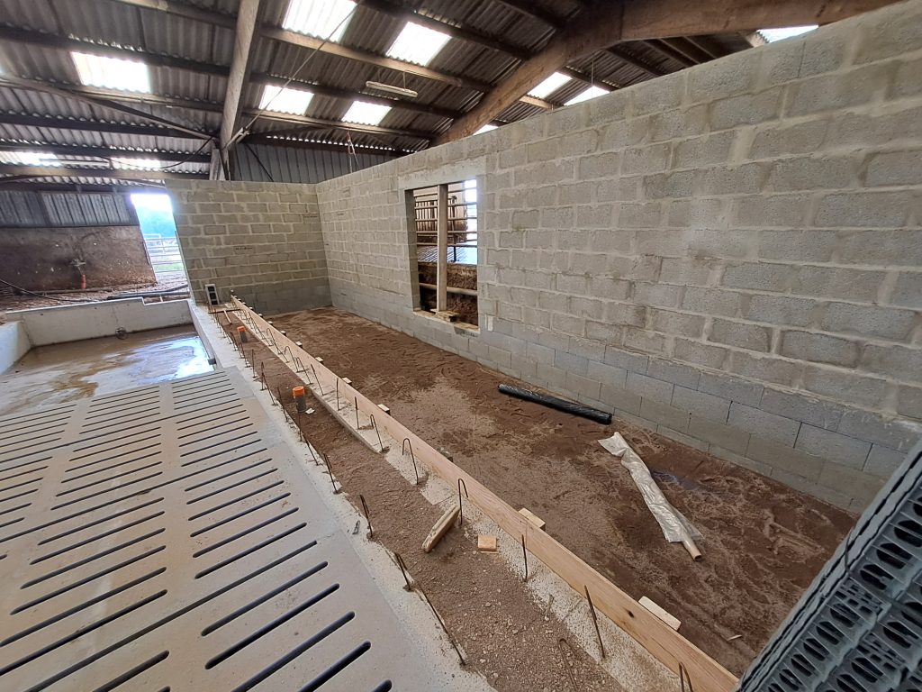Travaux de maçonnerie agricole réalisés par les Constructions Boulay en Normandie : murs en agglomérés de béton, caniveaux et caillebotis pour l'aménagement intérieur d'un bâtiment d'élevage.